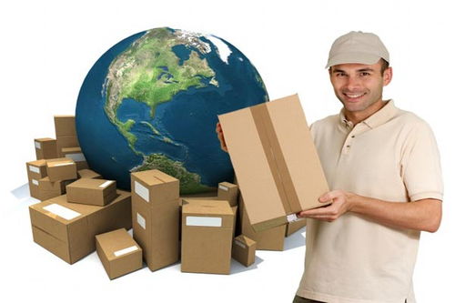 DHL國際小包裹丟失處理與天津海派貨運保險索賠及商檢報關指南